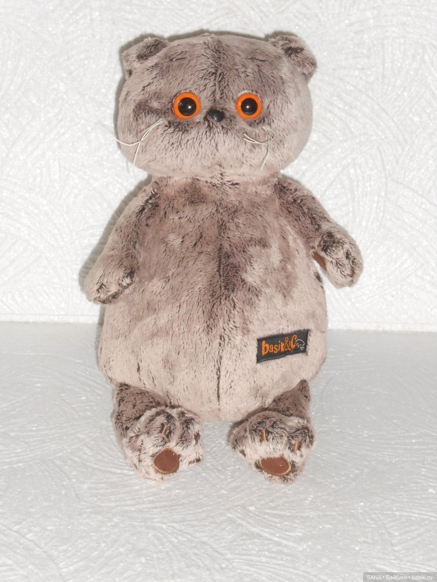 Басик — Кот Басик (фото 9)