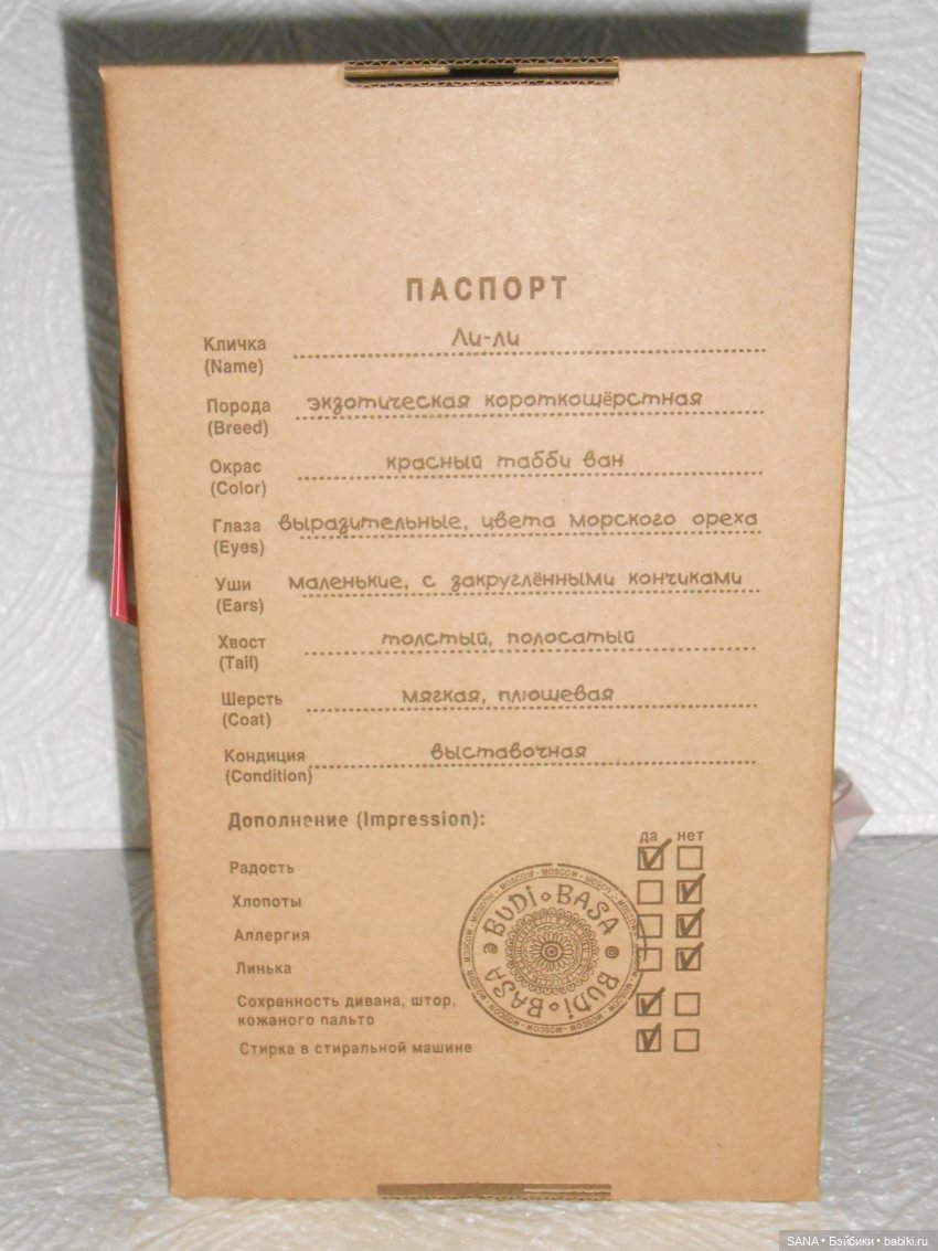 Ли-ли — Кот Басик (фото 9)