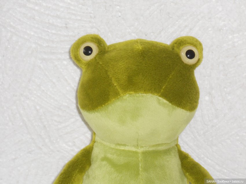 Лягушка Оливия Кваковская