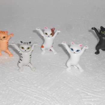 Даня и Танцующие котики