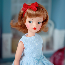 Тэмми. Ретро-красавицы из 60-х годов.