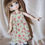 Они сами нас выбирают