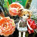 Наш цветочный топик. Дарси в отпуске