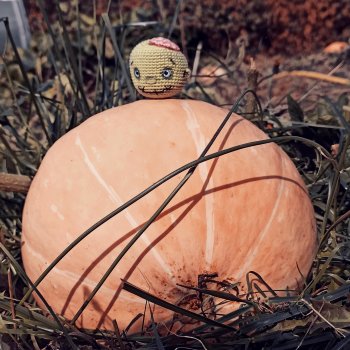 Зреют тыквы И головы