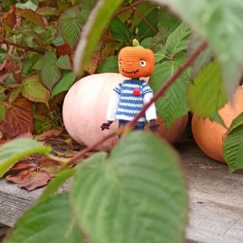 Тыквёнок Пак