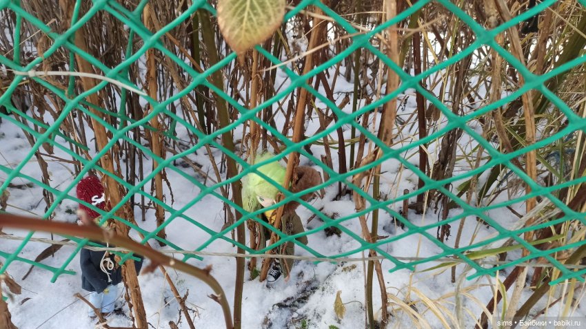 С Новым Годом из Кроквуда