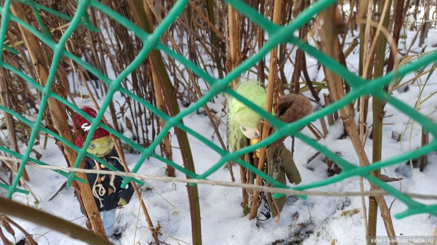 С Новым Годом из Кроквуда (фото 2)