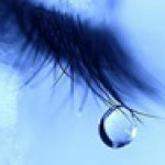 Продажа в рассрочку, или очередная ложь Елены Илларионовой