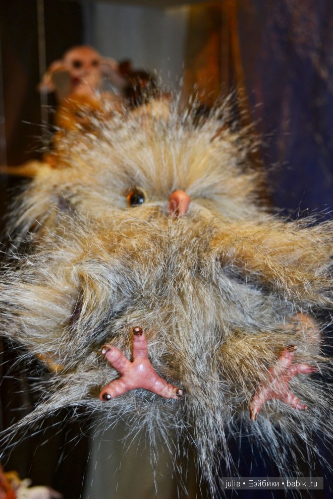 Заглянем на выставку вместе? Время кукол -2103 | Бэйбики Заглянем на выставку вместе? Время кукол -2103