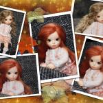 У меня радость! Приехала моя долгожданная девочка Littlefee Leah