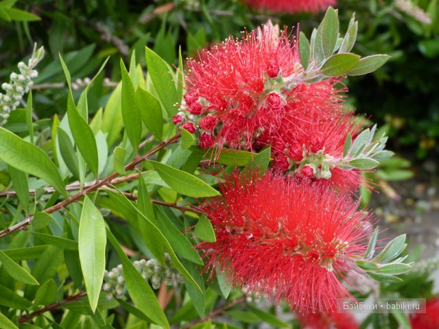 Лазурный берег Франции