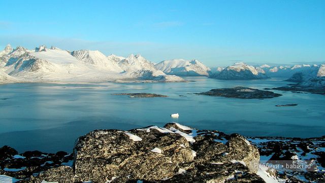 ИЛАИ от Аннеты Химштедт