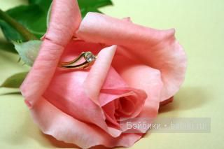 Хотите, чтоб и у вас было ЗЕФИРНОЕ настроение (фото 2)