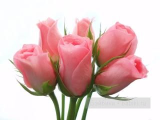 Хотите, чтоб и у вас было ЗЕФИРНОЕ настроение (фото 6)