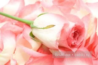 Хотите, чтоб и у вас было ЗЕФИРНОЕ настроение (фото 10)