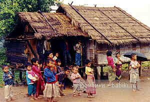 Наоми NAOMI от Joke Grobben