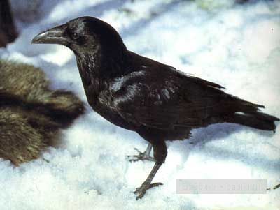 Зимняя сказка III о ГЕРДЕ, Принцe и Принцессe от J. GROBBEN