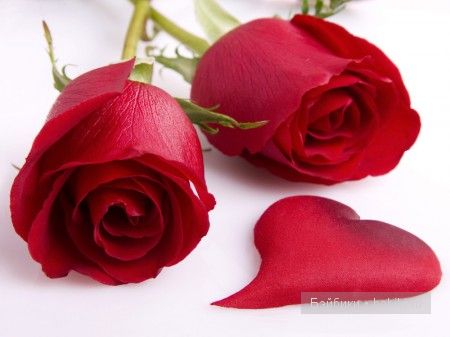 Зимняя сказка II о Герде и колдунье - Desire от Joke Grobben