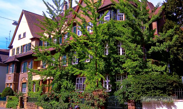 Осенние деньки, очей очарование (фото 4)