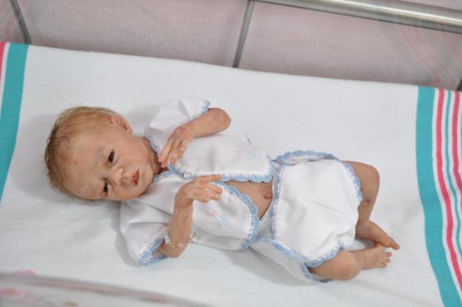 Силиконовые куклы-малыши Claire Taylor dolls (Клэр Тейлор)
