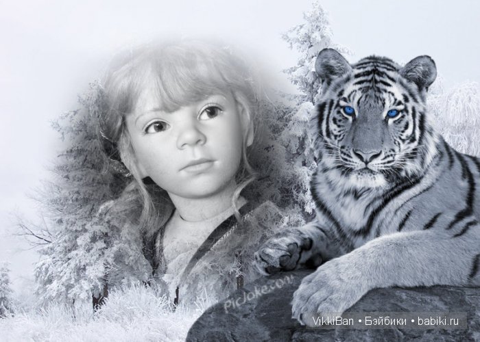 Сказочная Phelomena от Elisabeth Lindner