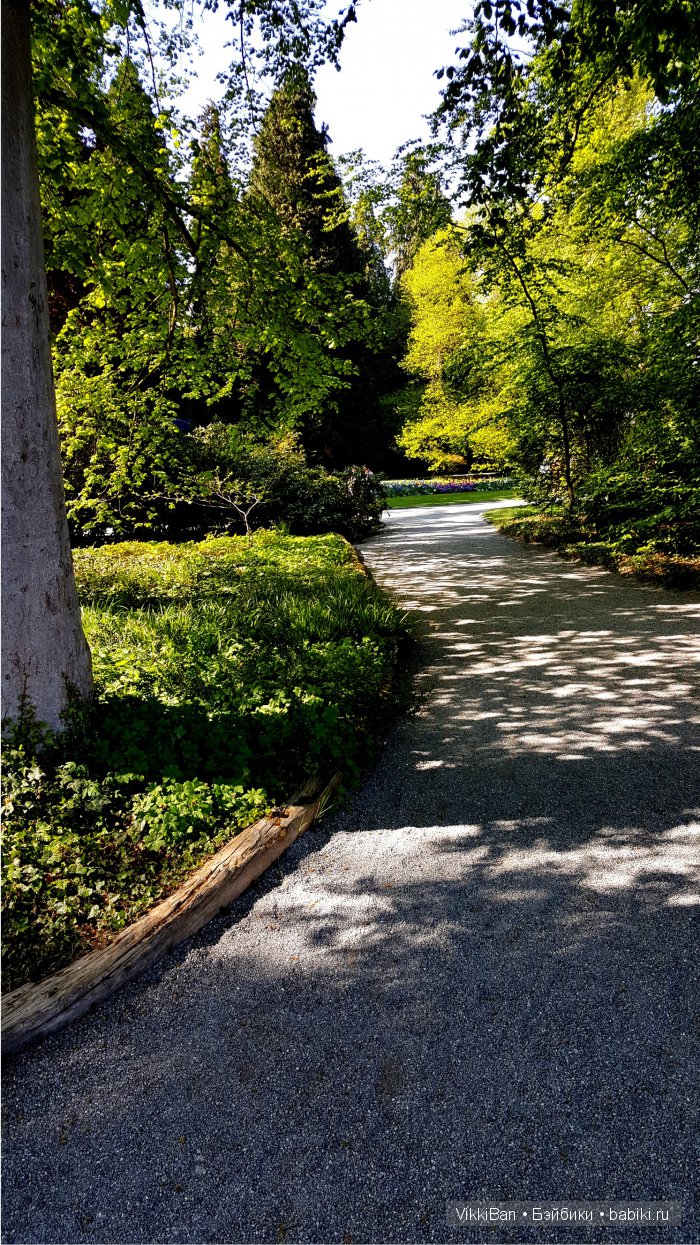 Остров Майнау. Германия — Туризм и путешествия: фотоотчеты из поездок