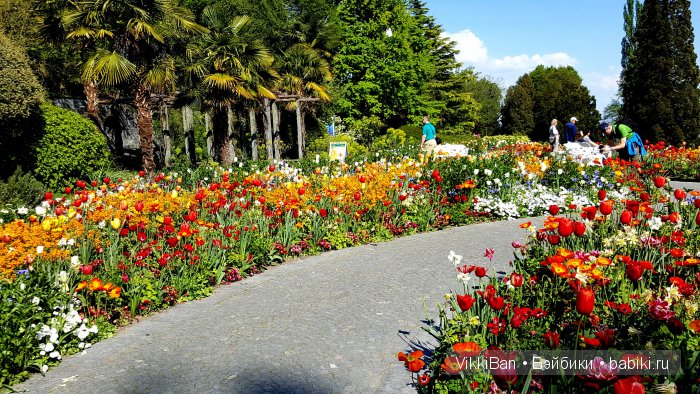 Остров Майнау. Германия — Туризм и путешествия: фотоотчеты из поездок