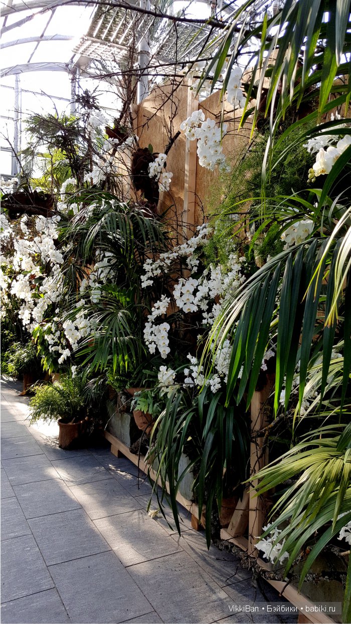 Остров Майнау. Германия — Туризм и путешествия: фотоотчеты из поездок