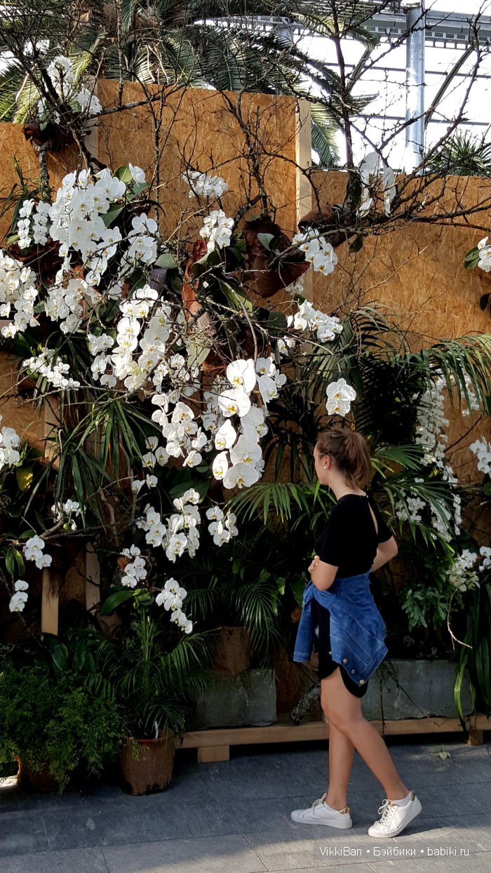 Остров Майнау. Германия — Туризм и путешествия: фотоотчеты из поездок