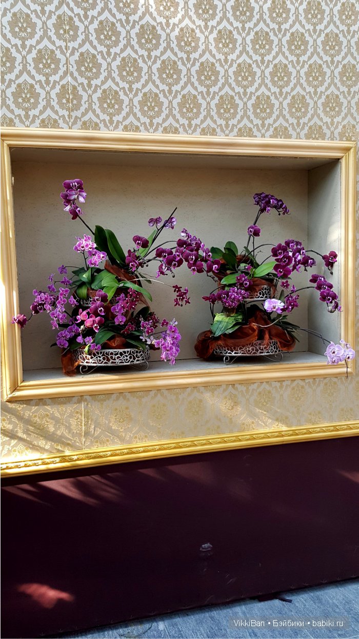 Остров Майнау. Германия — Туризм и путешествия: фотоотчеты из поездок