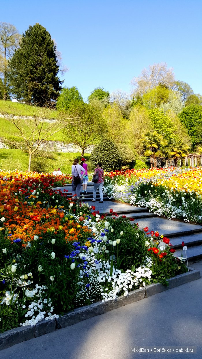 Остров Майнау. Германия — Туризм и путешествия: фотоотчеты из поездок