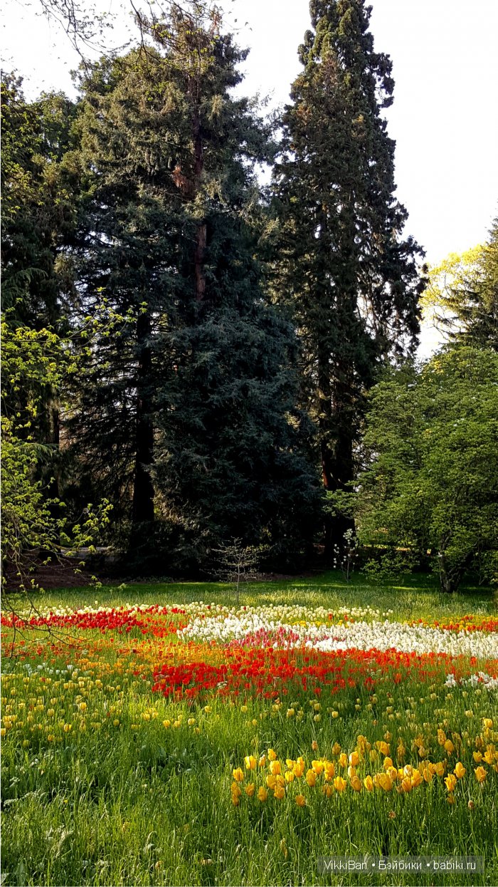 Остров Майнау. Германия — Туризм и путешествия: фотоотчеты из поездок