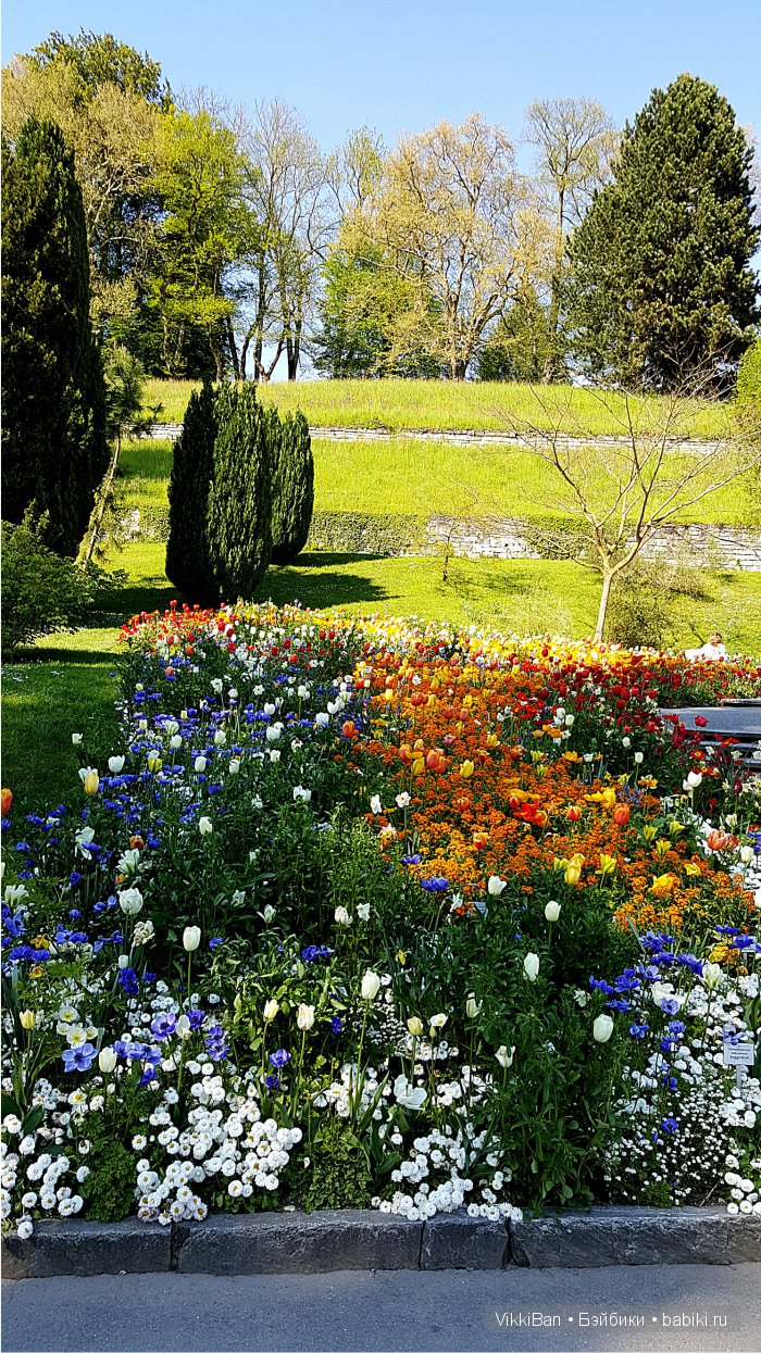 Остров Майнау. Германия — Туризм и путешествия: фотоотчеты из поездок