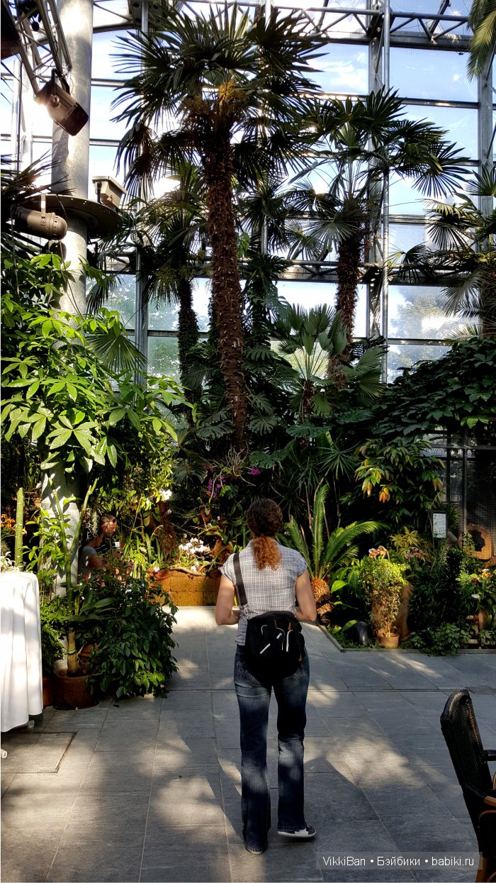 Остров Майнау. Германия — Туризм и путешествия: фотоотчеты из поездок