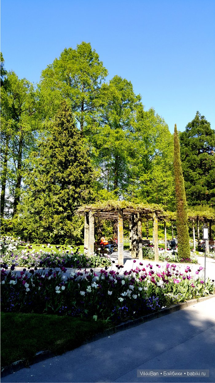 Остров Майнау. Германия — Туризм и путешествия: фотоотчеты из поездок (фото 8)