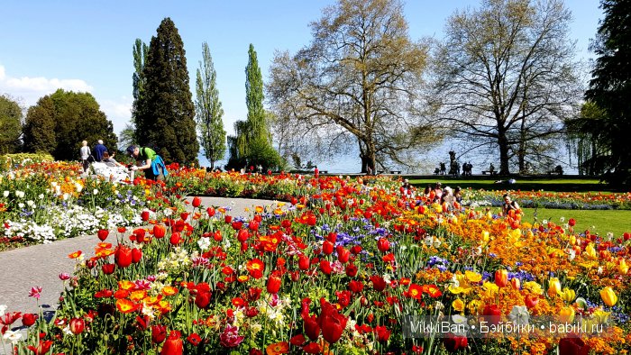 Остров Майнау. Германия — Туризм и путешествия: фотоотчеты из поездок