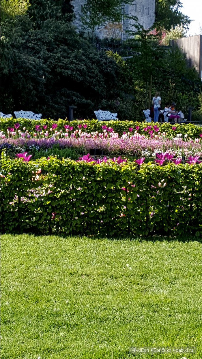 Остров Майнау. Германия — Туризм и путешествия: фотоотчеты из поездок