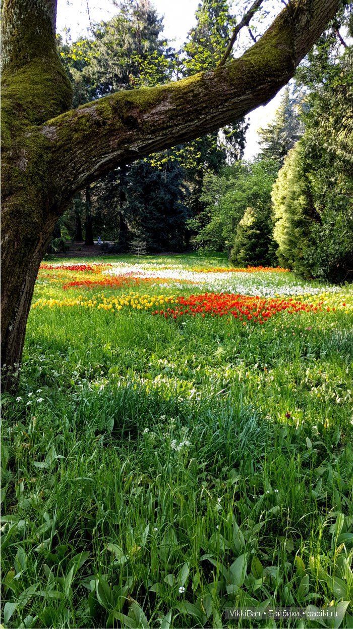 Остров Майнау. Германия — Туризм и путешествия: фотоотчеты из поездок