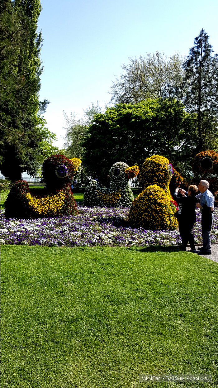 Остров Майнау. Германия — Туризм и путешествия: фотоотчеты из поездок