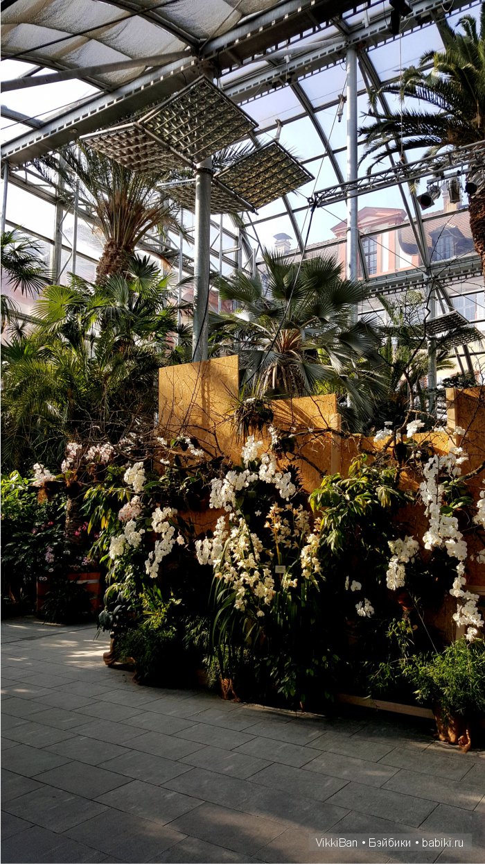 Остров Майнау. Германия — Туризм и путешествия: фотоотчеты из поездок