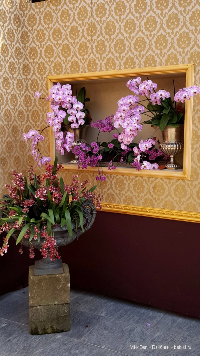 Остров Майнау. Германия — Туризм и путешествия: фотоотчеты из поездок