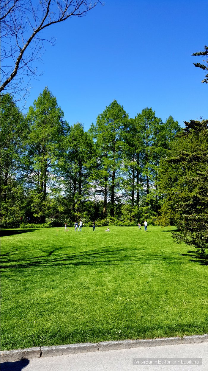 Остров Майнау. Германия — Туризм и путешествия: фотоотчеты из поездок