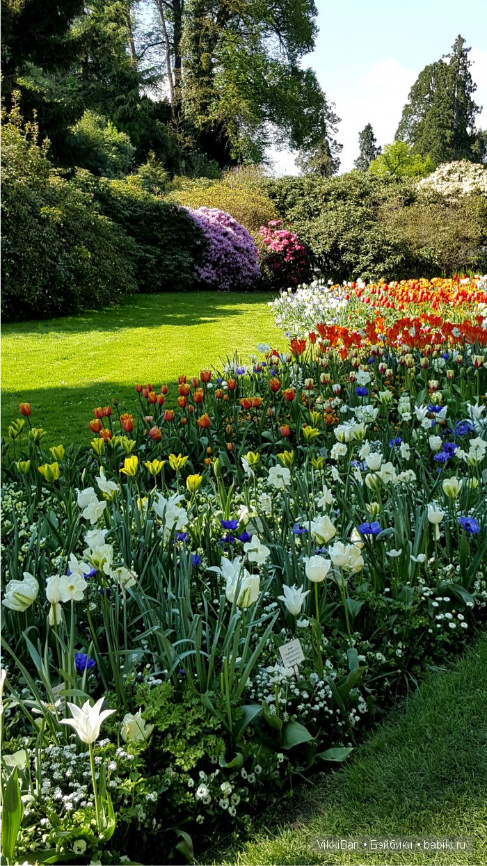 Остров Майнау. Германия — Туризм и путешествия: фотоотчеты из поездок