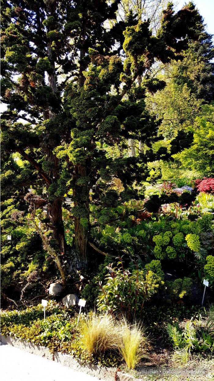 Остров Майнау. Германия — Туризм и путешествия: фотоотчеты из поездок