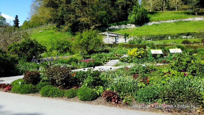 Остров Майнау. Германия — Туризм и путешествия: фотоотчеты из поездок