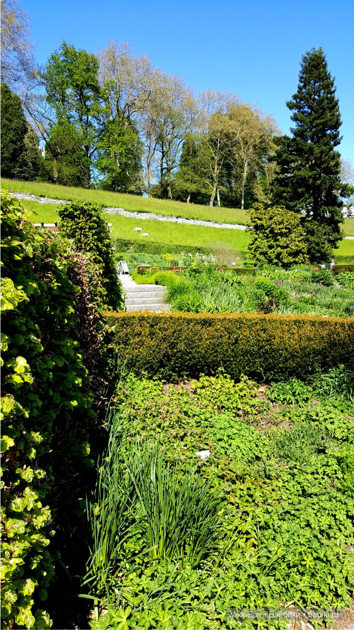 Остров Майнау. Германия — Туризм и путешествия: фотоотчеты из поездок