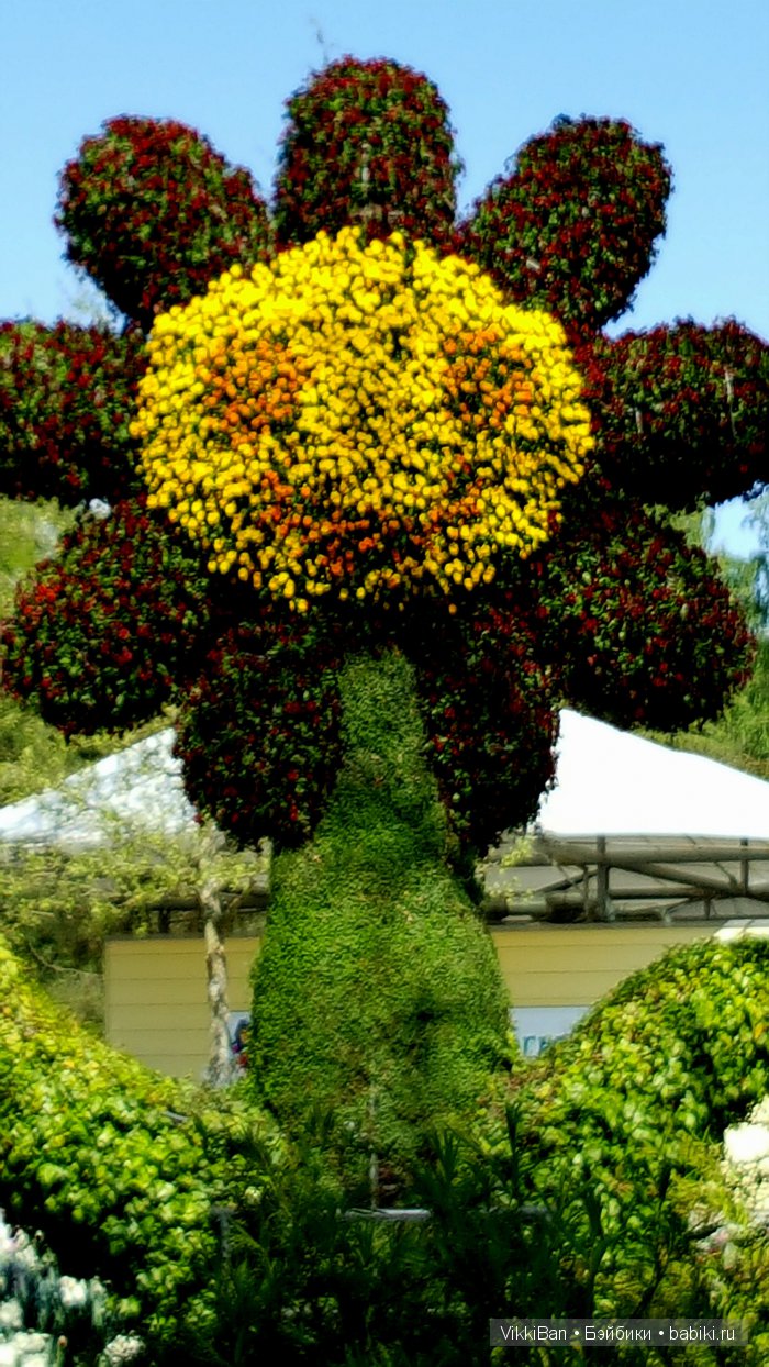 Остров Майнау. Германия — Туризм и путешествия: фотоотчеты из поездок