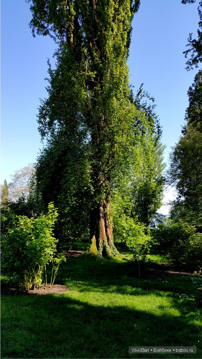 Остров Майнау. Германия — Туризм и путешествия: фотоотчеты из поездок