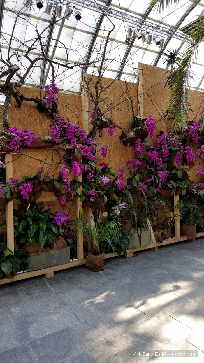 Остров Майнау. Германия — Туризм и путешествия: фотоотчеты из поездок