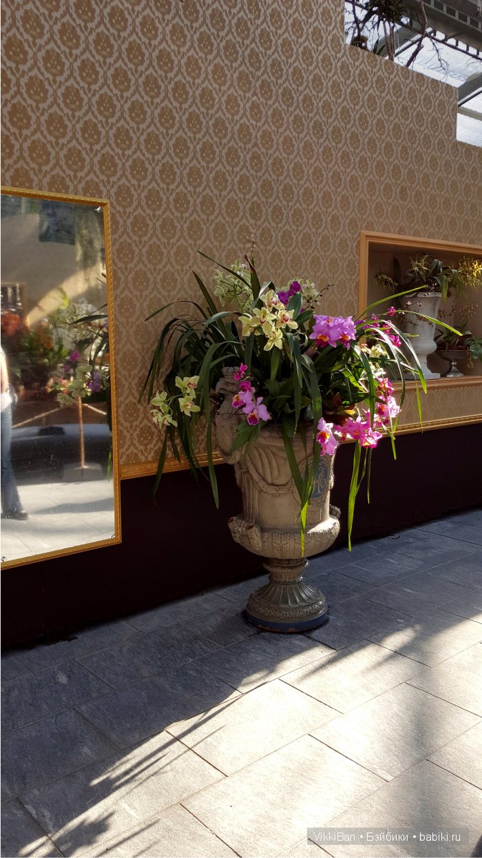 Остров Майнау. Германия — Туризм и путешествия: фотоотчеты из поездок